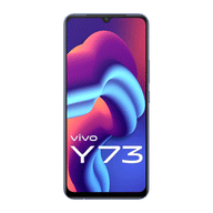 Vivo Y73